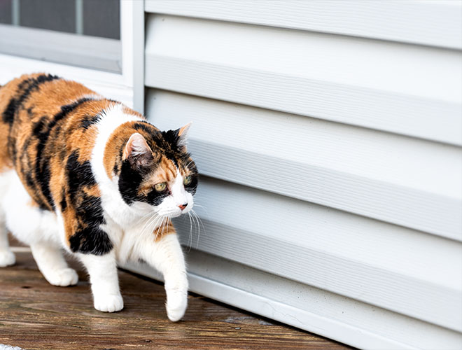 High West Siding Image